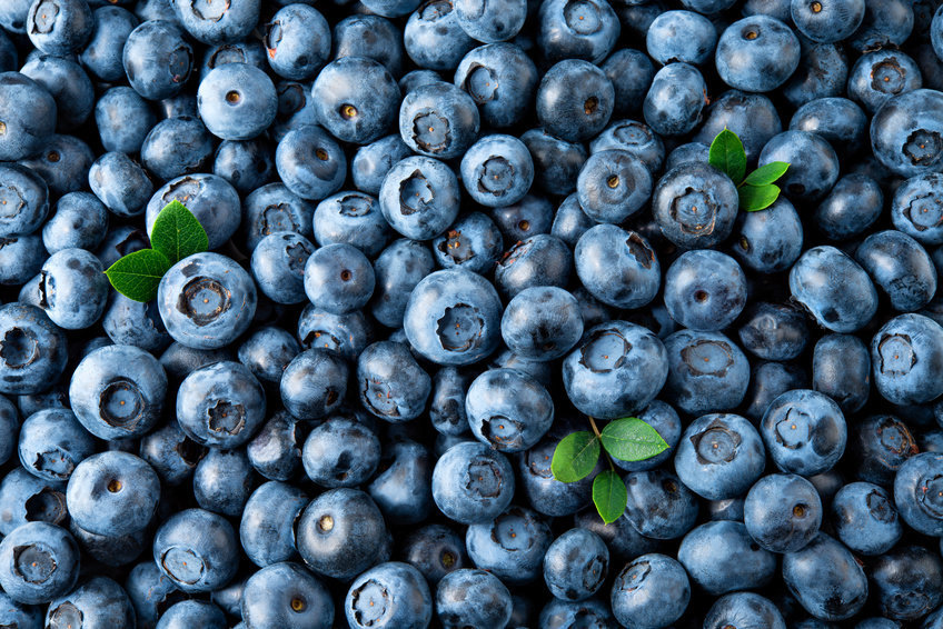 BLUEBERRIES