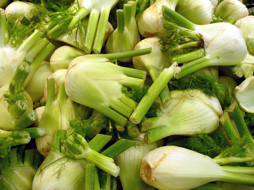 FENNEL