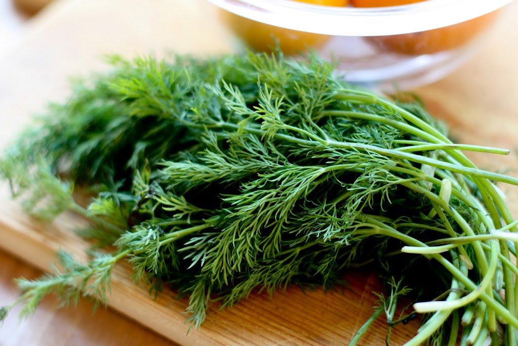 DILL