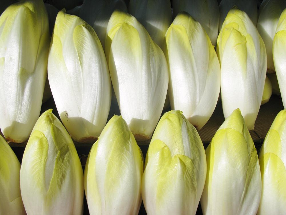ENDIVES
