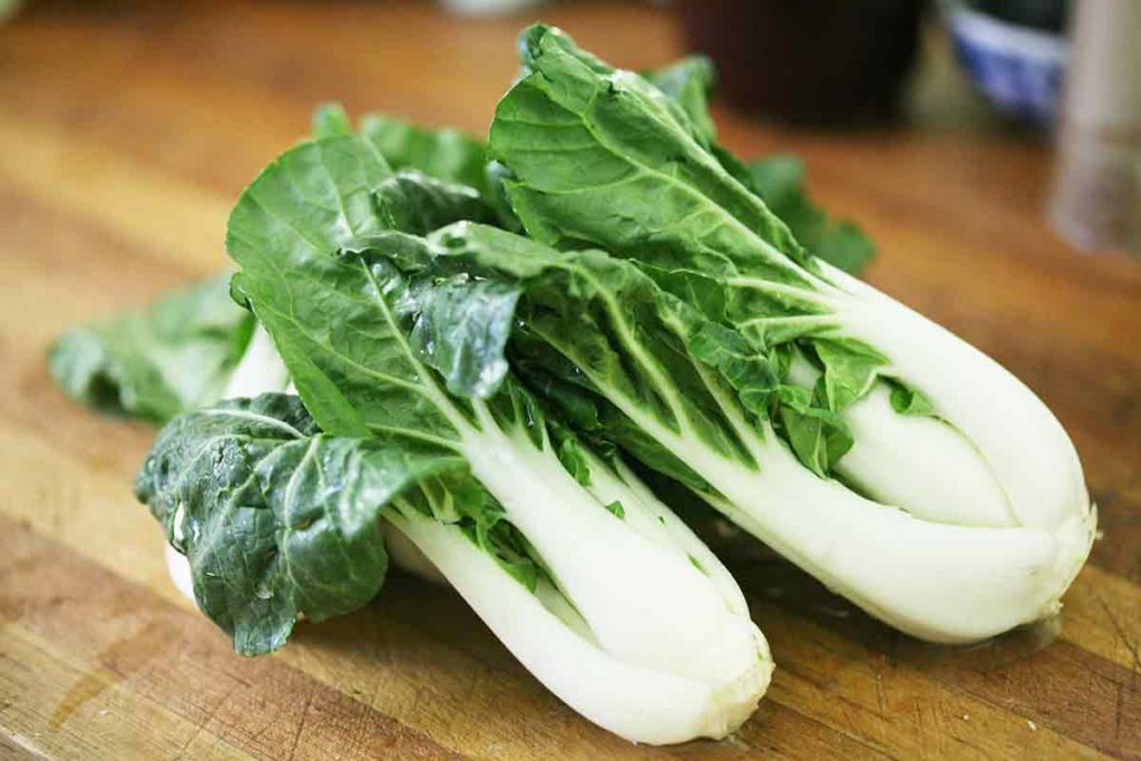 BOK CHOY
