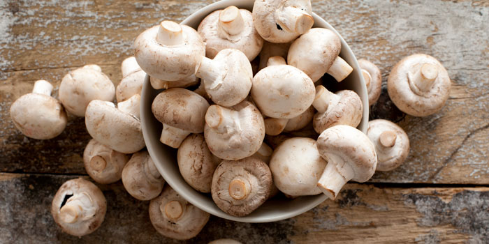 MUSHROOMS