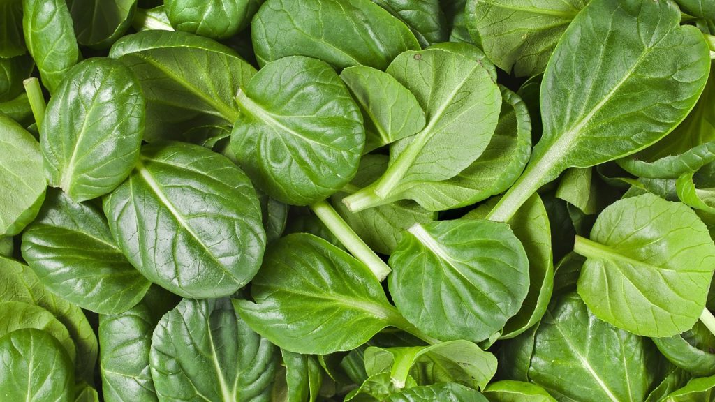SPINACH