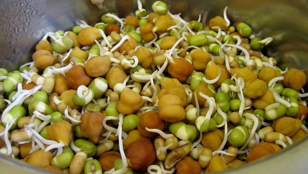 SPROUTS